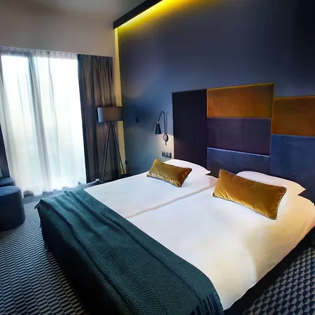 酒店 雷梅斯酒店 4*