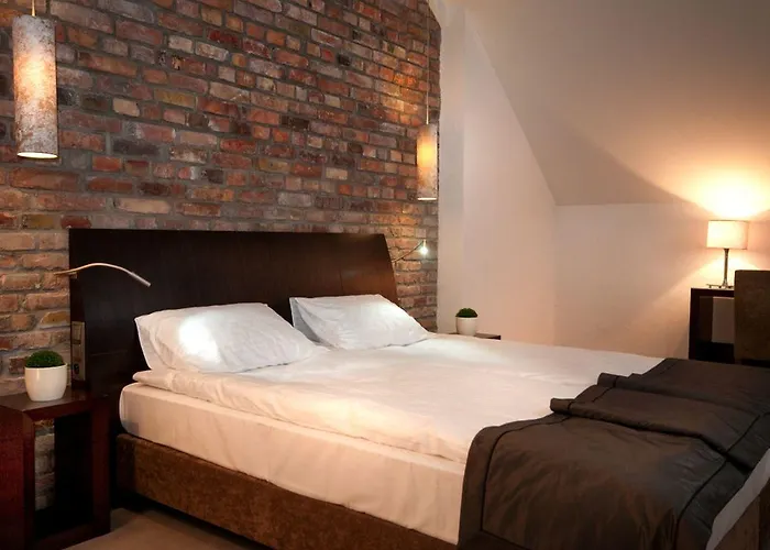 雷梅斯酒店 4* 奥帕莱尼察