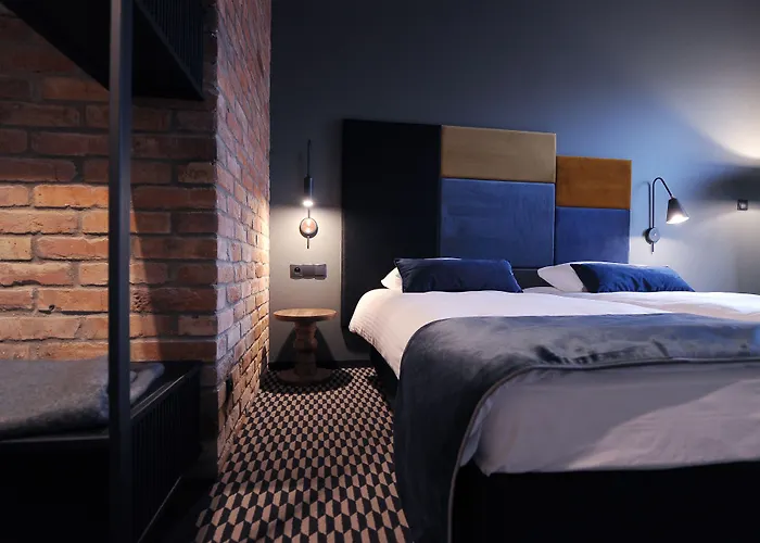 雷梅斯酒店 4* 奥帕莱尼察