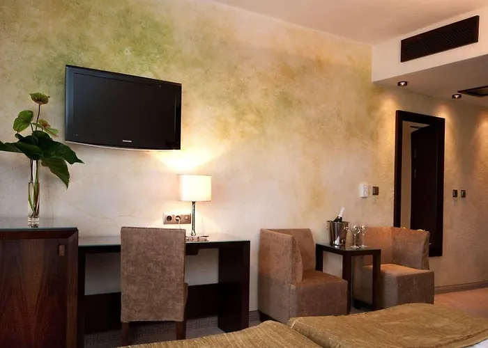 酒店 雷梅斯酒店