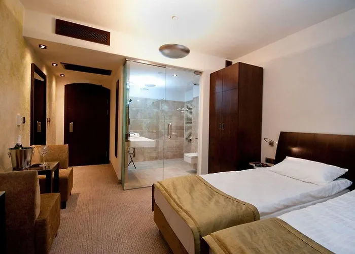 Remes Hotel Opalenica